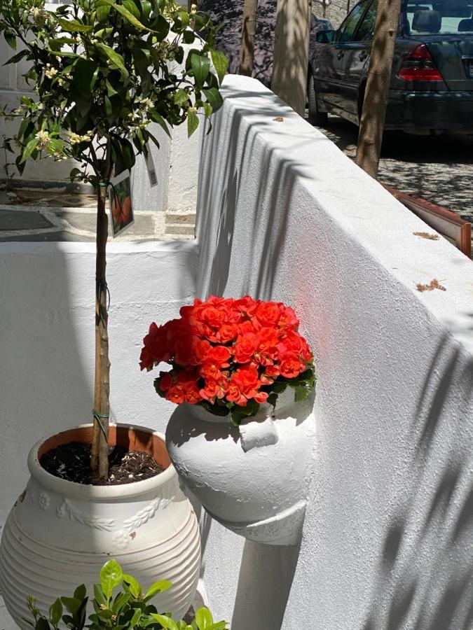 Villa Mina House Siviri Esterno foto